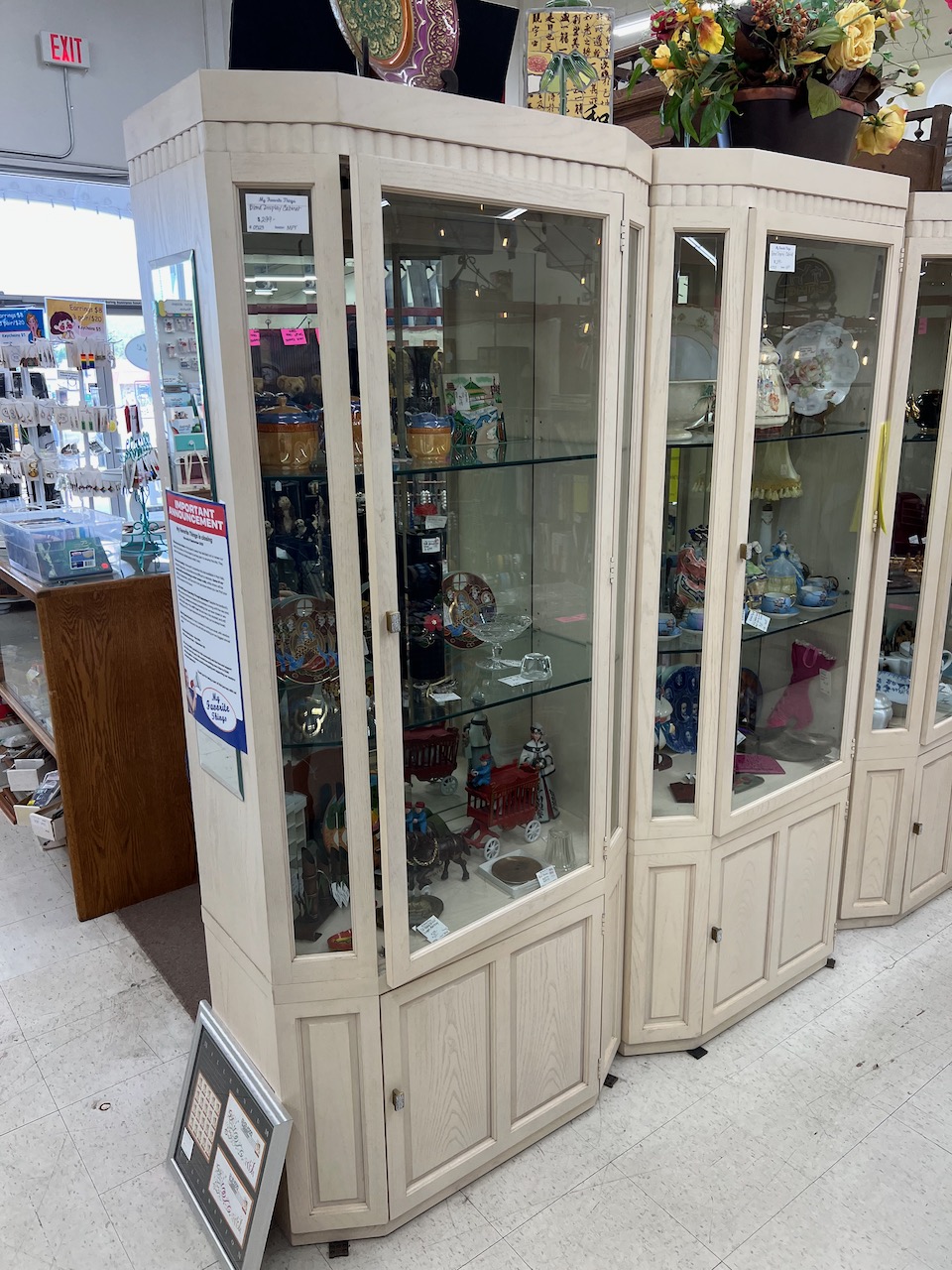 Elegant Glass Display Curio 2