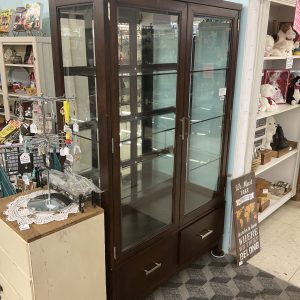 Contemporary dark wood display case